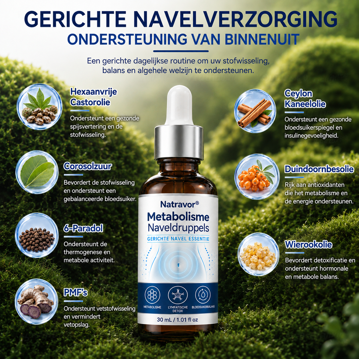 🌱 Natravor® Metabolism Navel Drops — ⌚️ 30 seconden avondroutine voor een betere stofwisselingsbalans 🍃, lymfatische ondersteuning, verlichting van een opgeblazen gevoel & een stevigere uitstraling van de huid 🌱